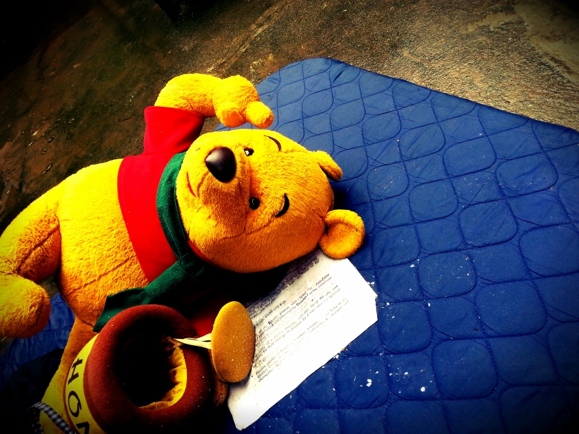 My Winnie the Pooh that got soaked from the mud.